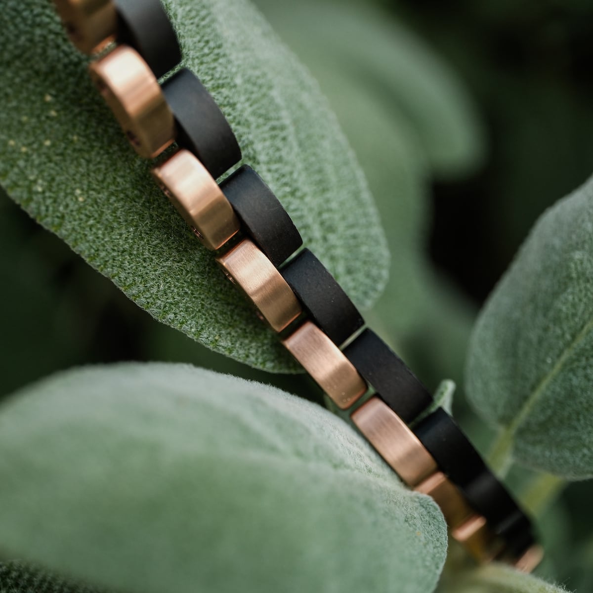 "Duet" bracelet in maple and rosegold with a sleek, alternating color pattern, draped over soft green leaves.