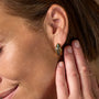 Homecoming Ohrringe (Abalone/Gold) 2