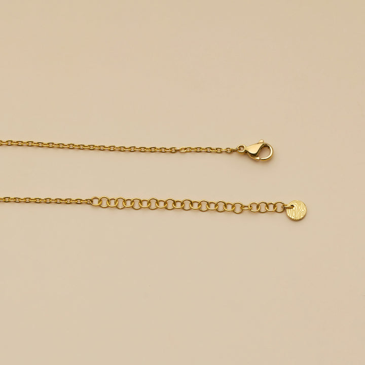 Truecolors Necklace (Zebrawood/Gold)